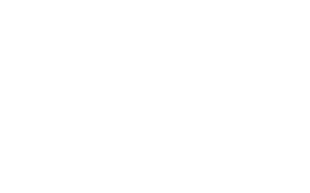 Song Linh Plus